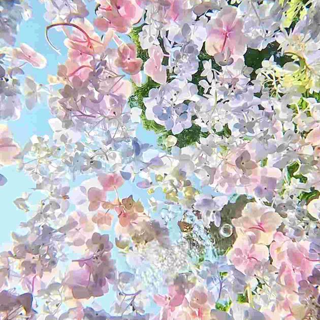 花头像