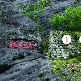武夷岚韵🍵叶