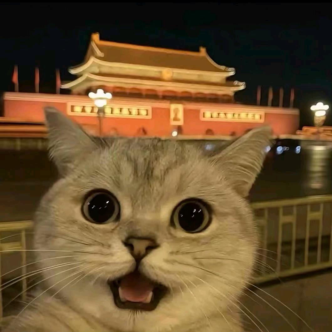 嫑忈.