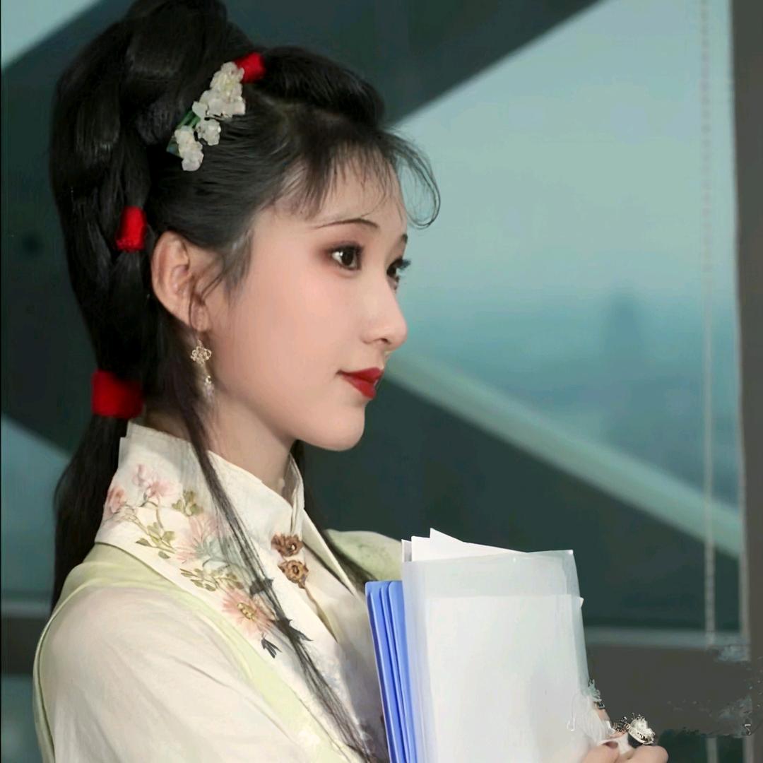 黛玉的读博日记