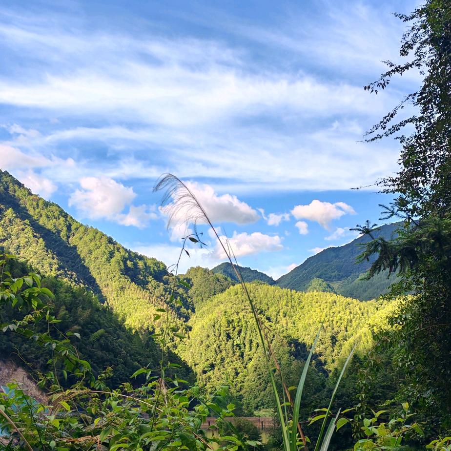 港行旅居