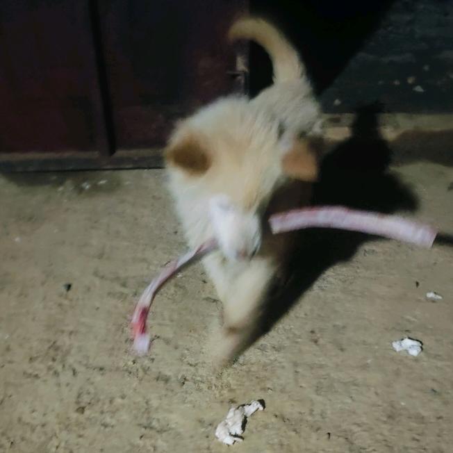 心想事成