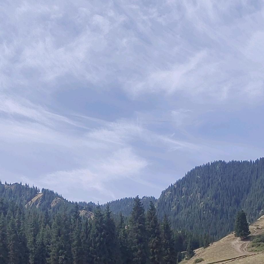 一切随缘单拒绝私聊