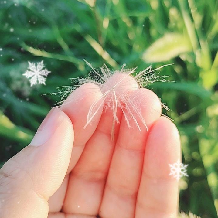 漫天飞舞