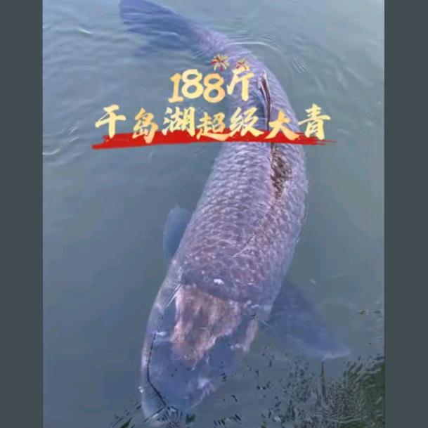 钟祥市众帮仓储中心（个体工商户）
