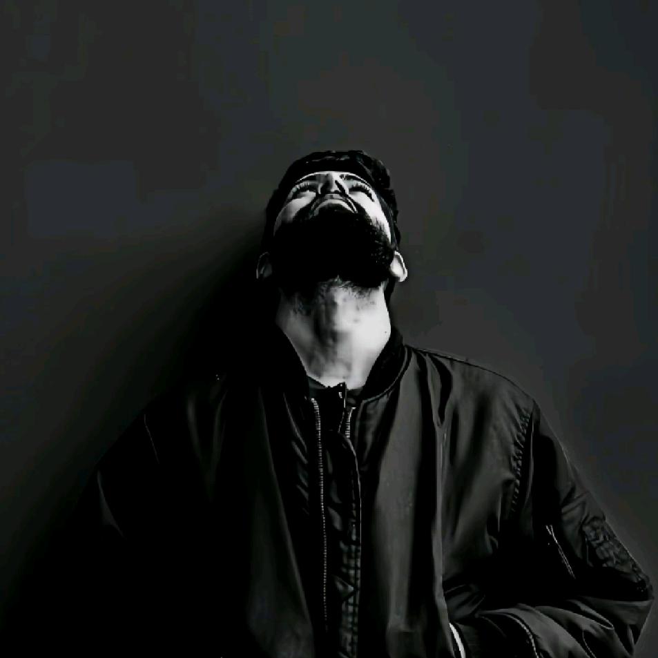 甘肃刘家峡沐晨芍药鲜切花基地