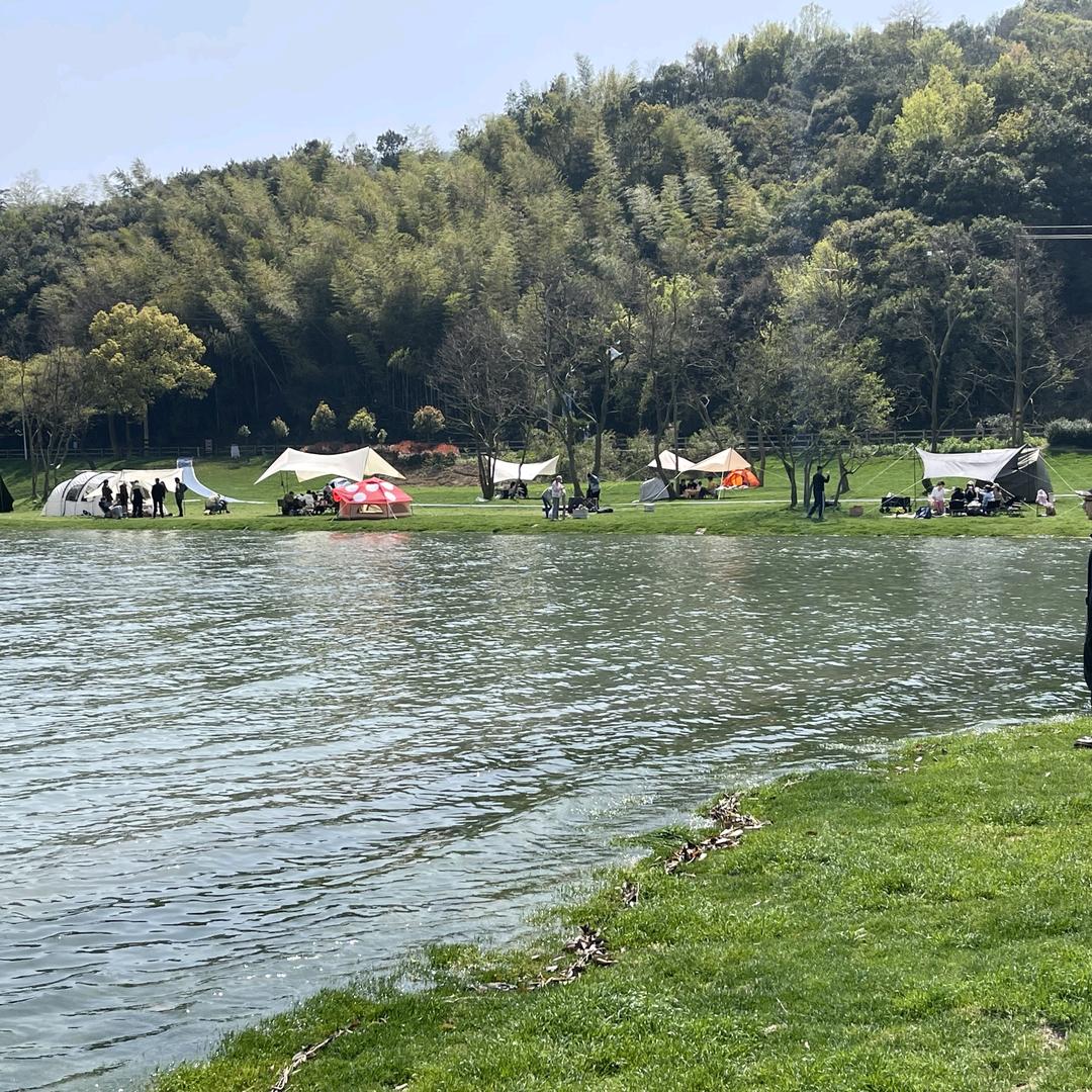 今天你开心了吗