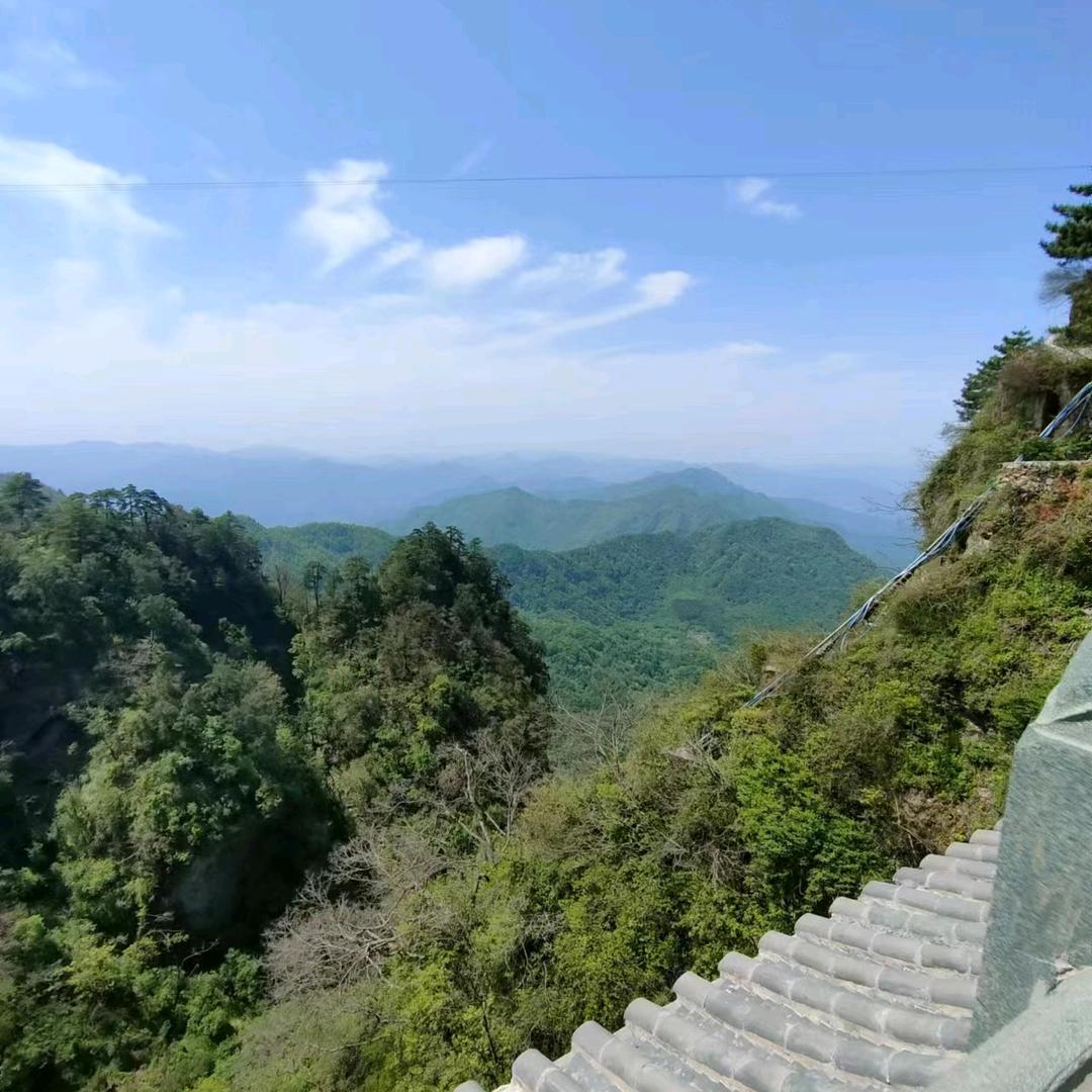 归心似箭291