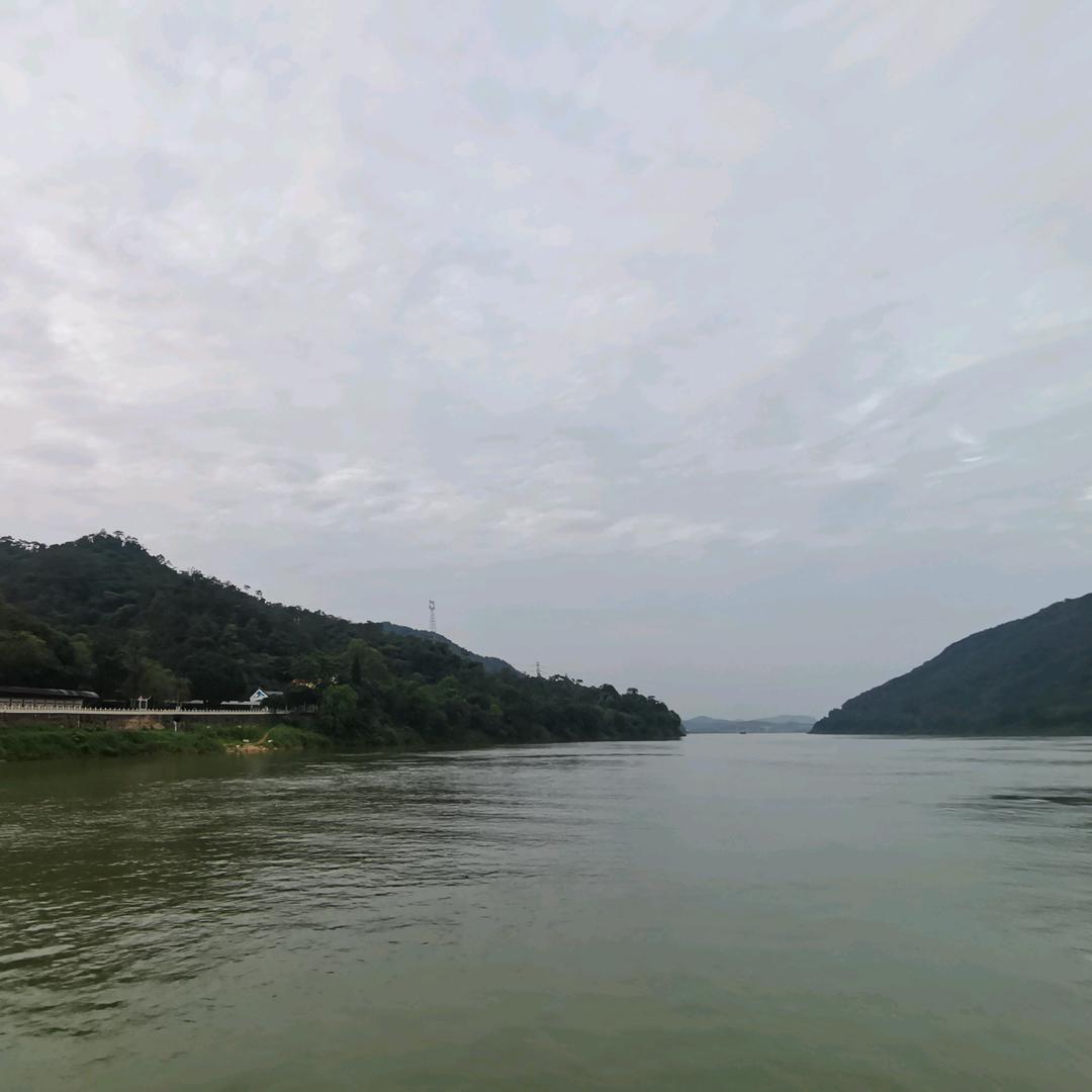 【楷书快写】有网课