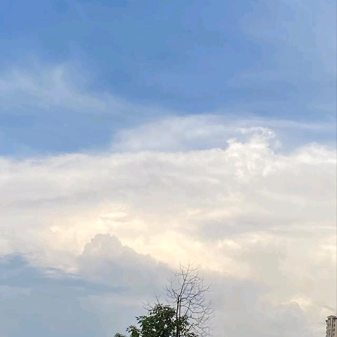 自贡定制家具工厂-小余