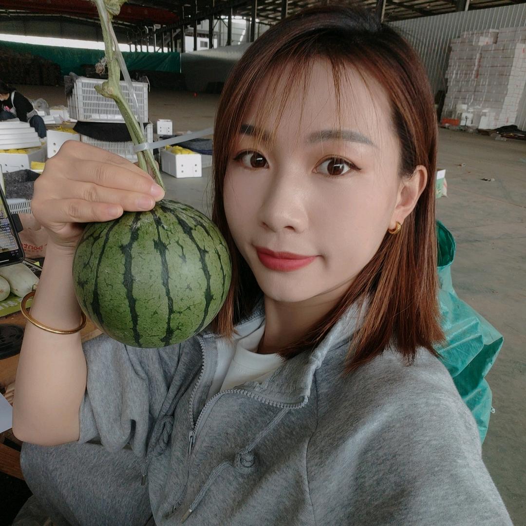 晶晶(香瓜甜瓜产地代收）