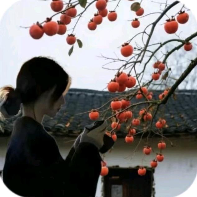 我朝月亮吹起口哨