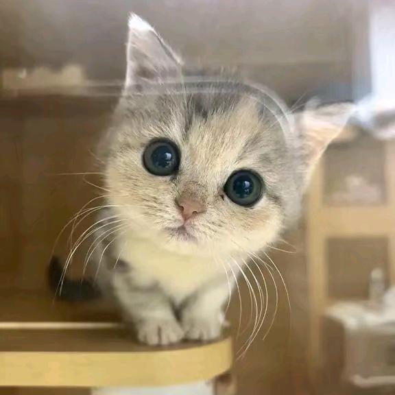 宇翔超级大无敌