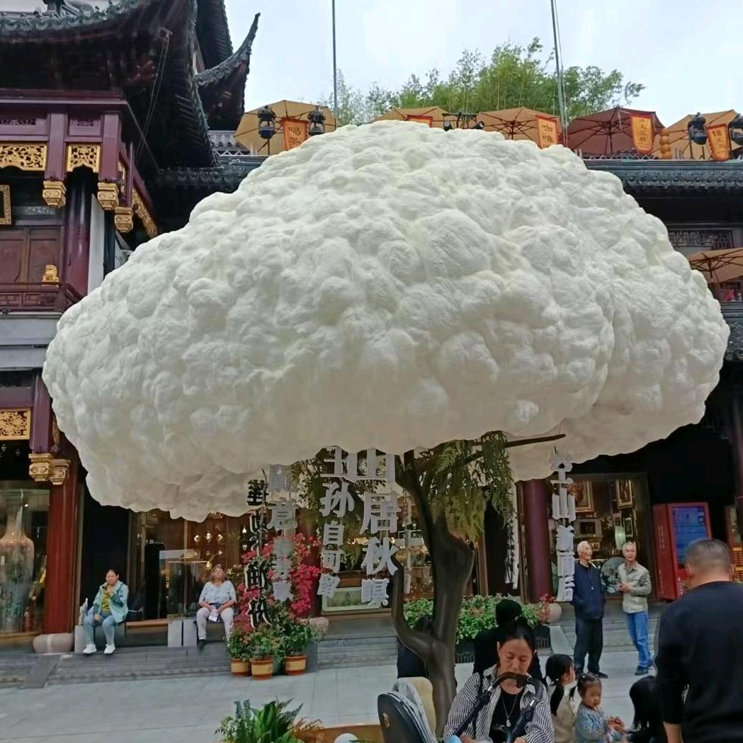 迷茫的心！