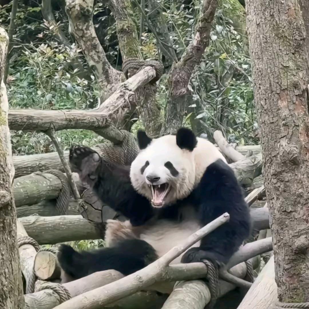 不得闲