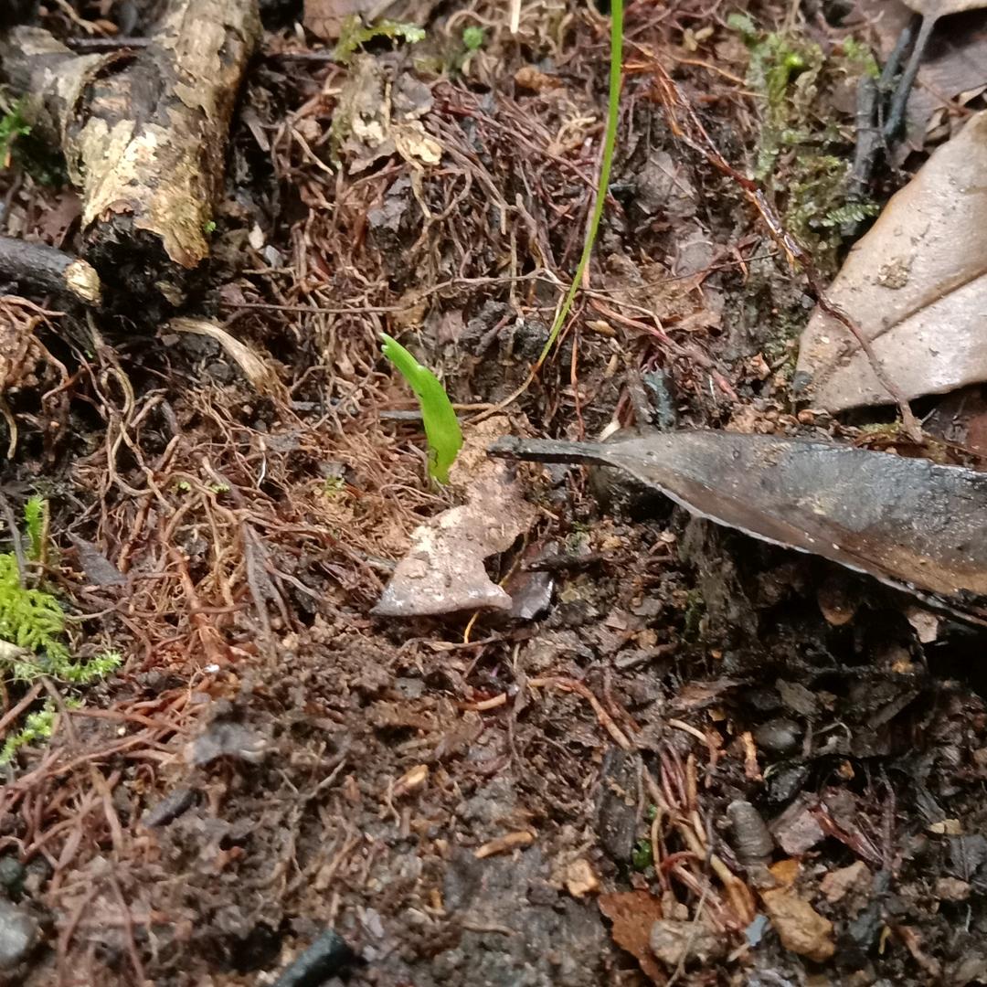 梦里有你，也有我