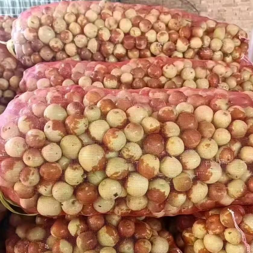 王应宝绮茨酒店臻选阁