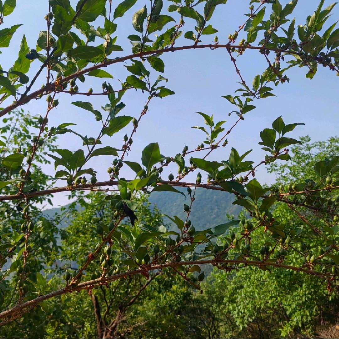 一生幸福。🐶🐶🐶