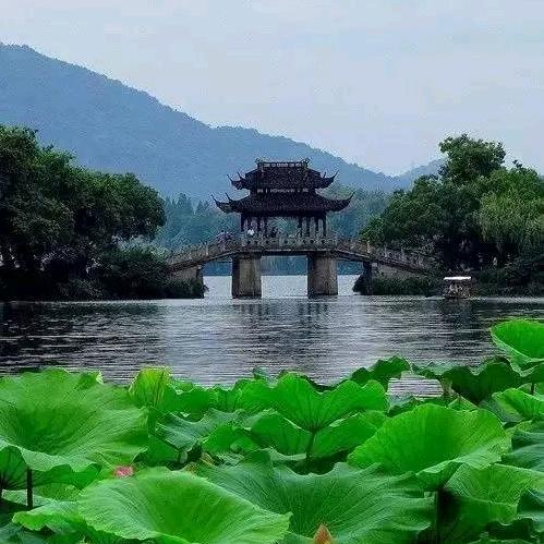 (｡･迕幵･｡)