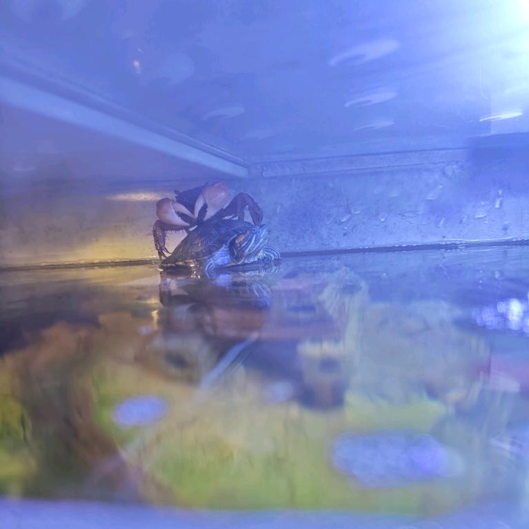 不完美的才是生活。