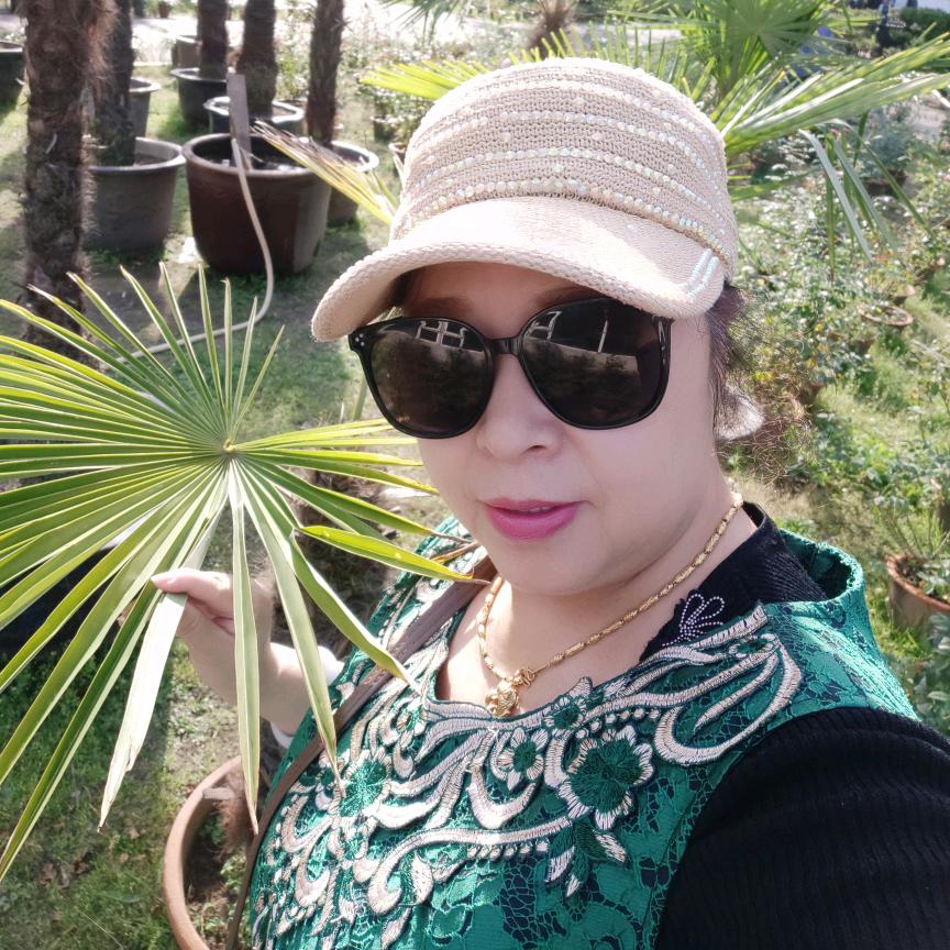 用户9064253592251放飞梦想