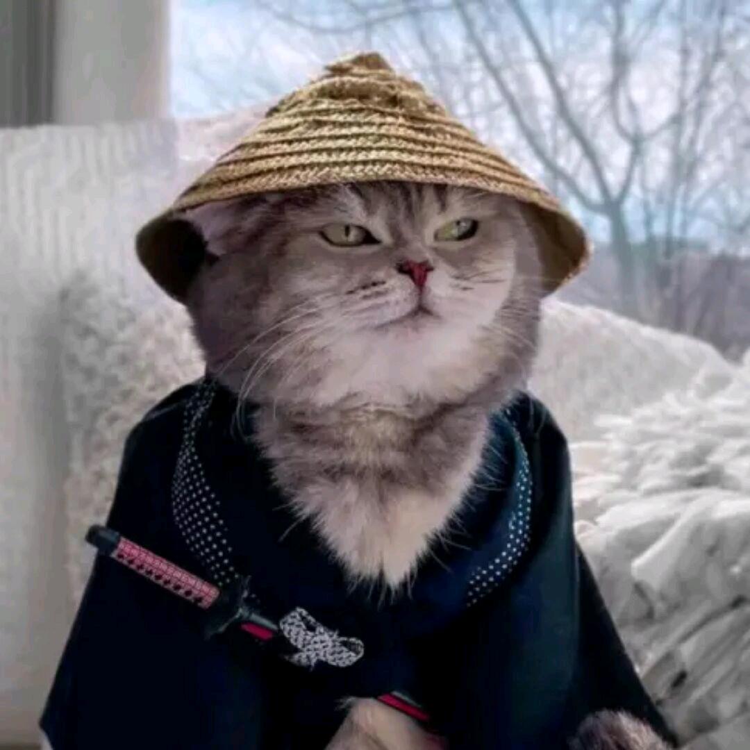 橘子，