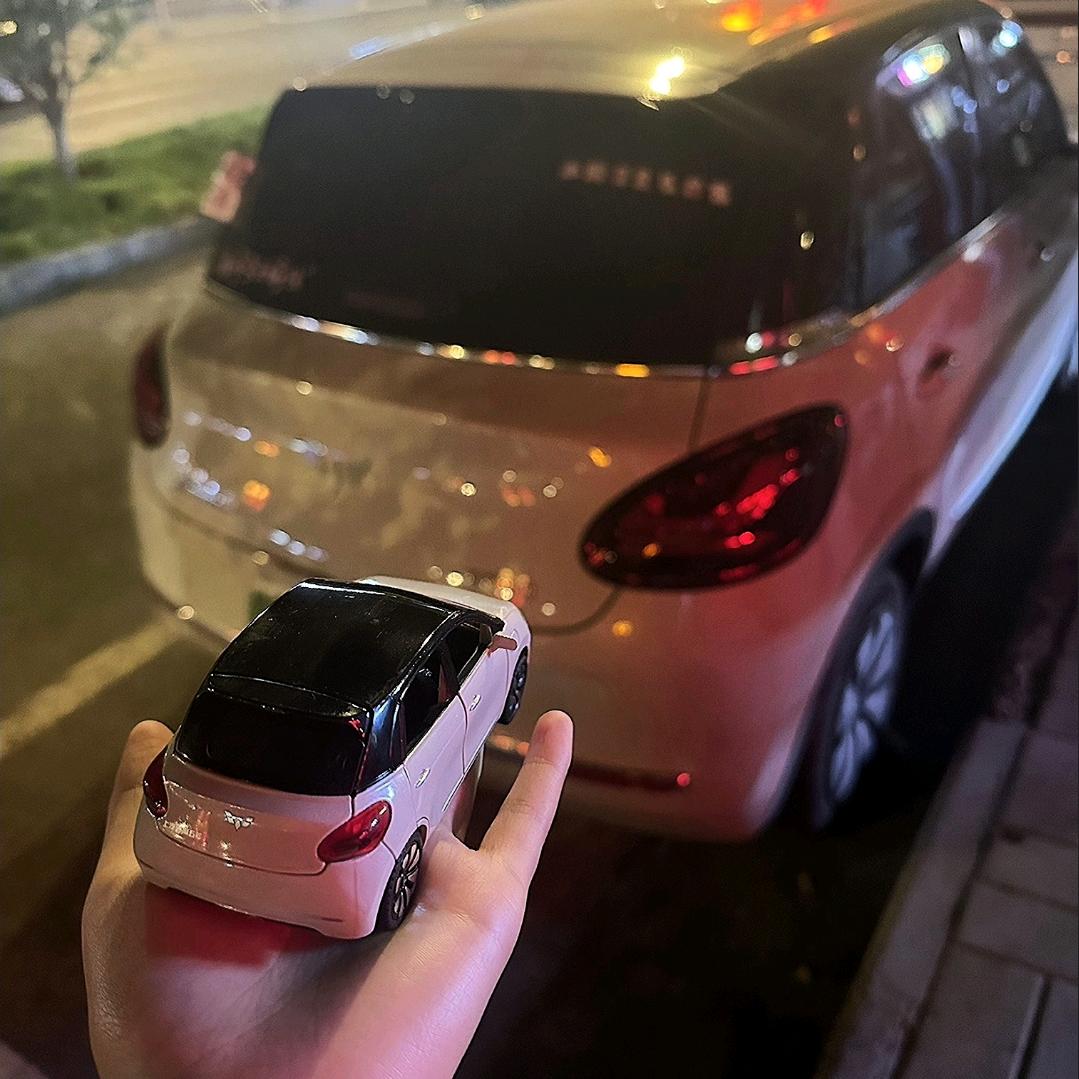 撒手没