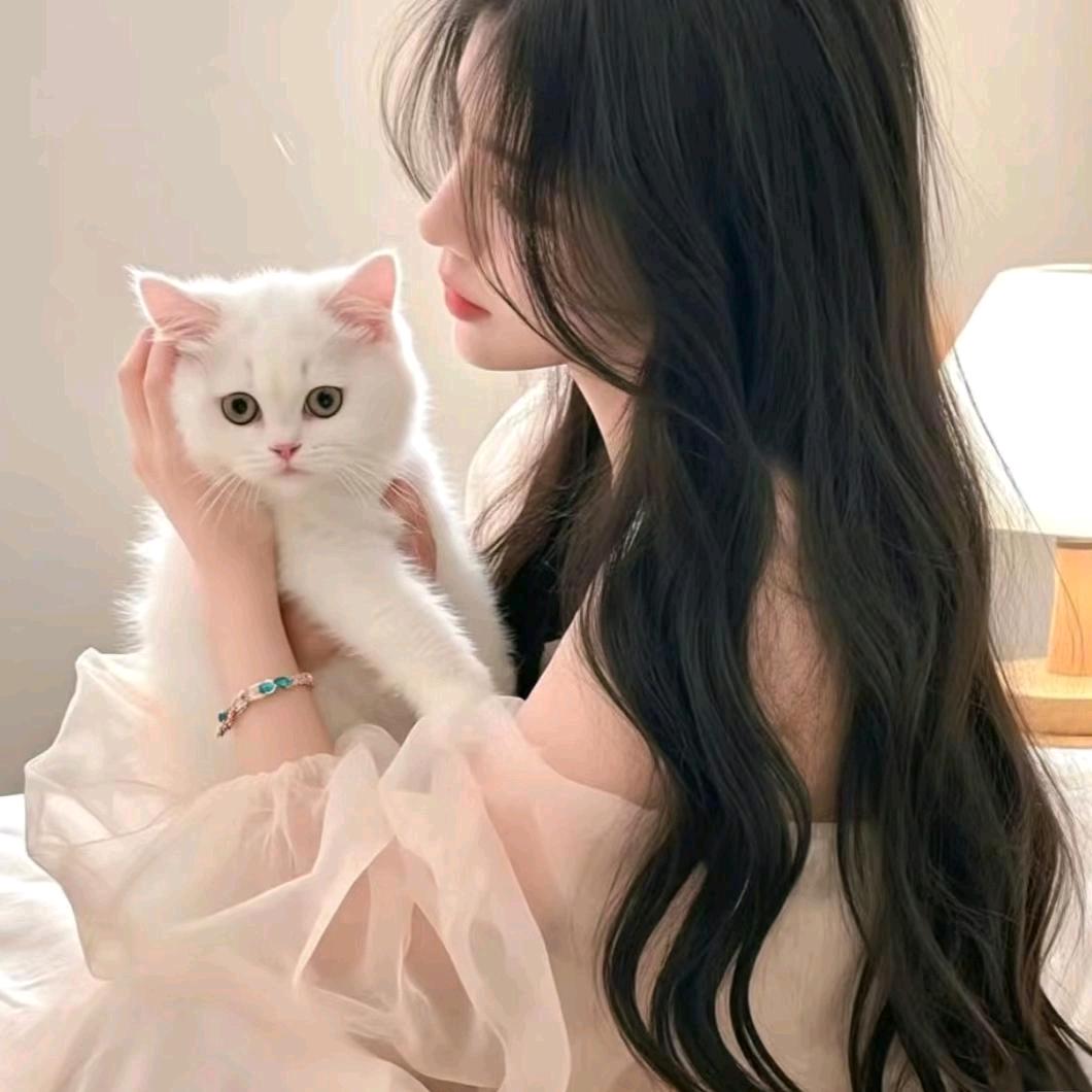糯七七💫