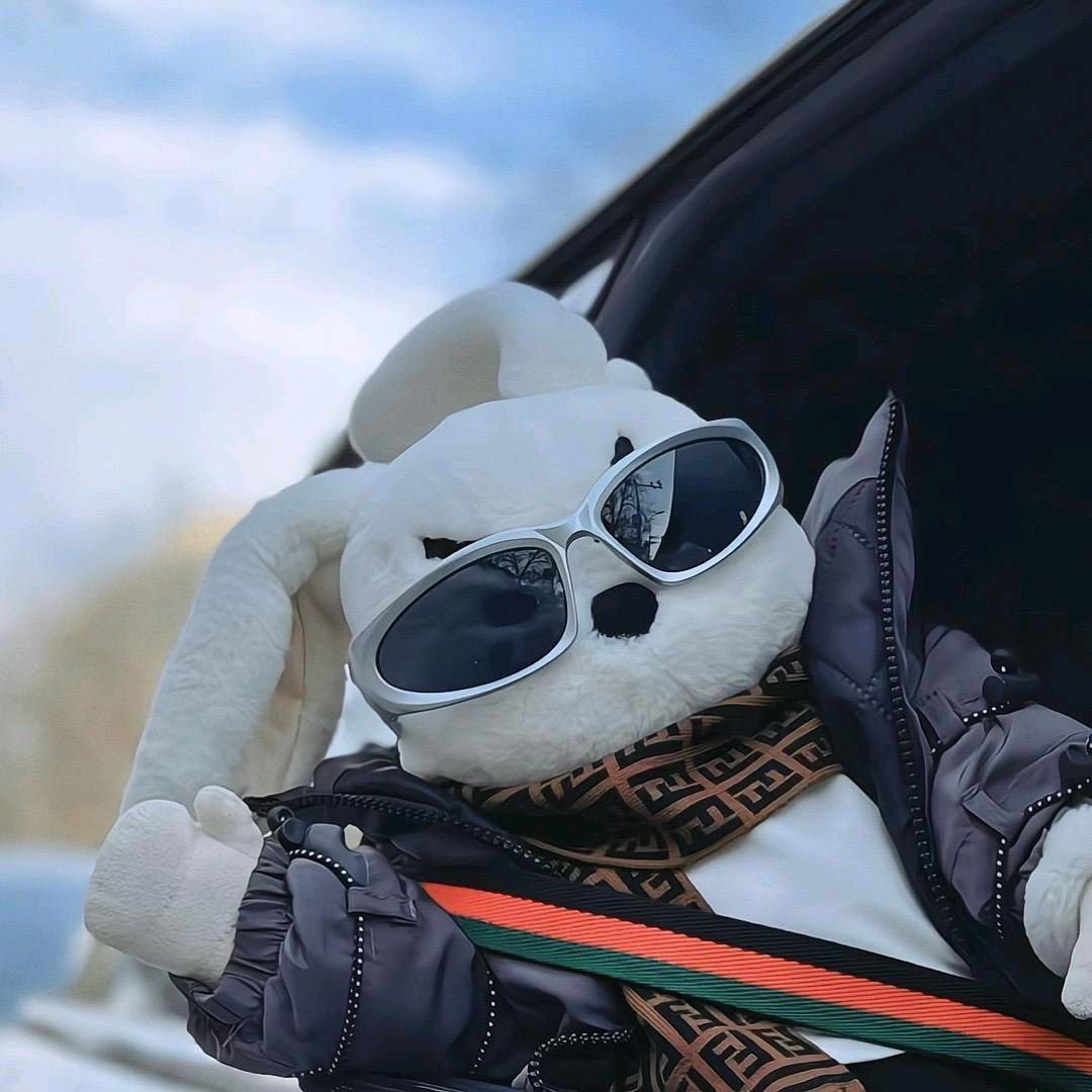 小杨