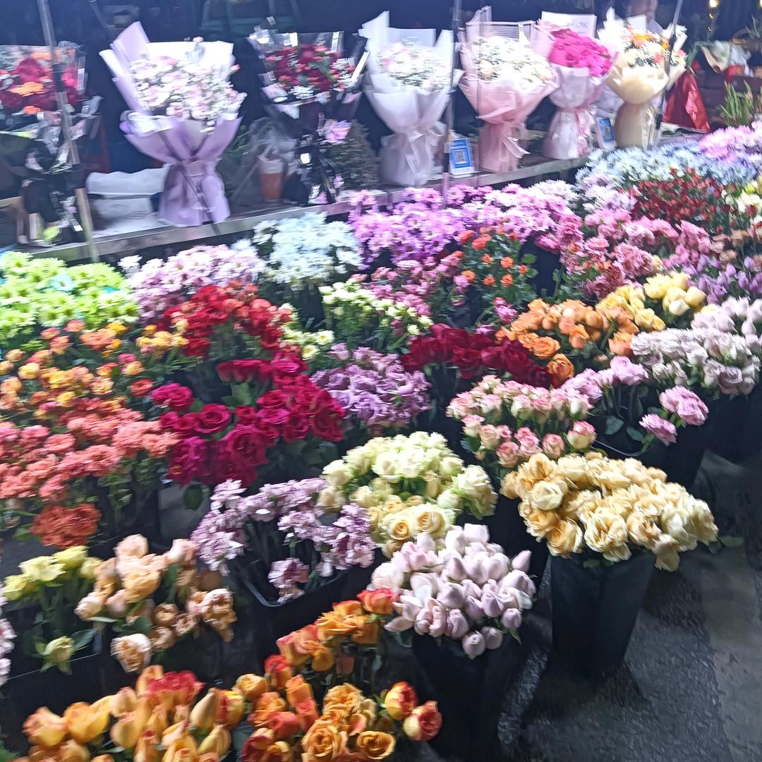 毛爷🌹