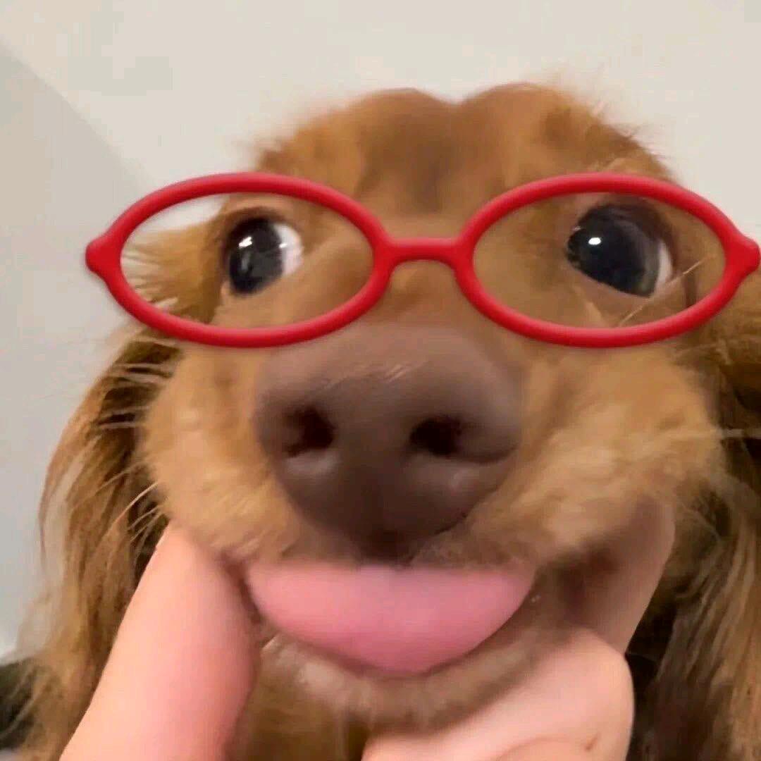 lrises头像