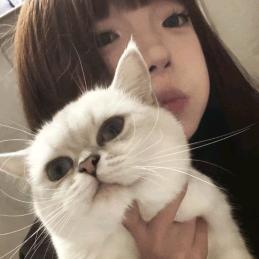 结婚后发现老婆是女通