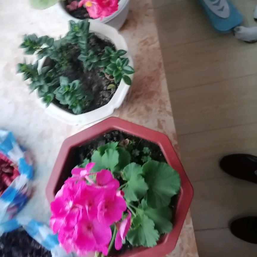 霞姐农机具制造