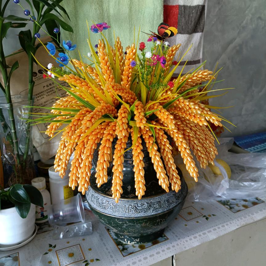 🍎肖小波🍎🌻勇敢向前