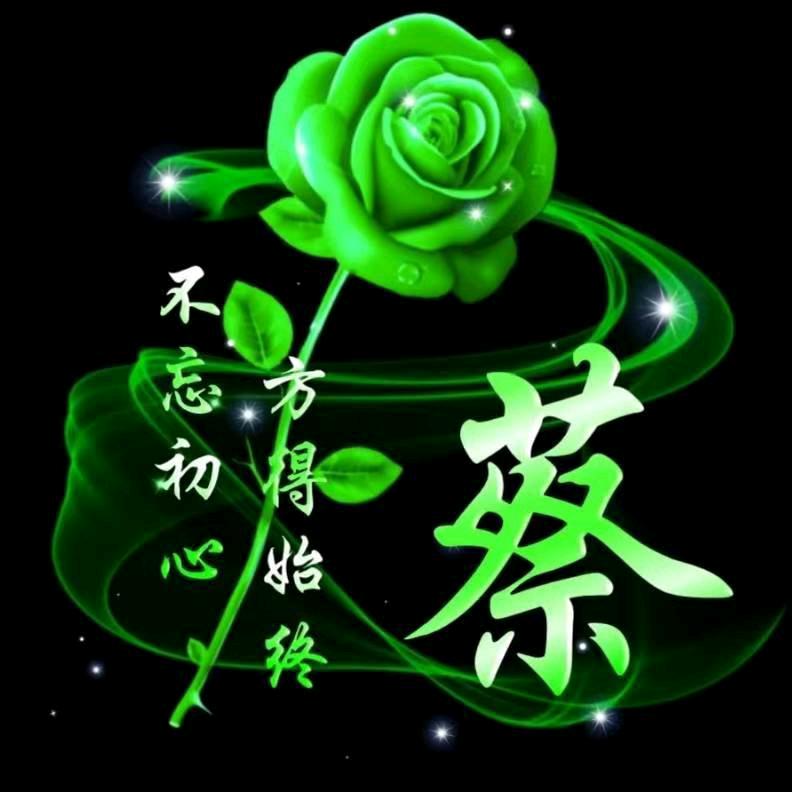 浪迹天涯（星爷）