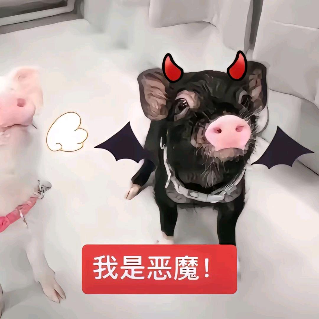 我也不太了解她