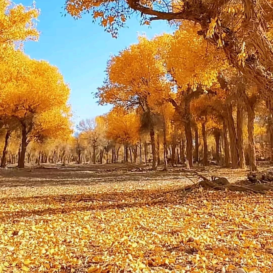 🌈ල᭄💞简单♥ꦿ᭄࿐