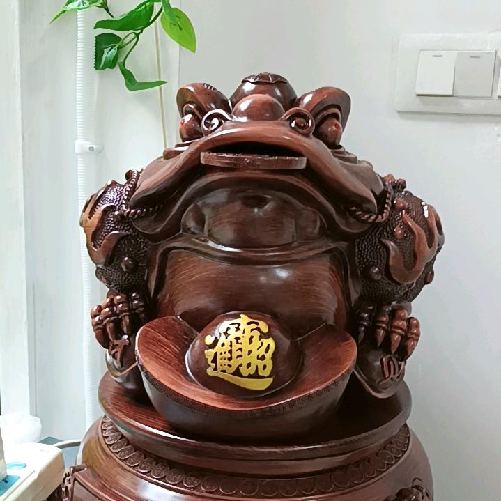百会