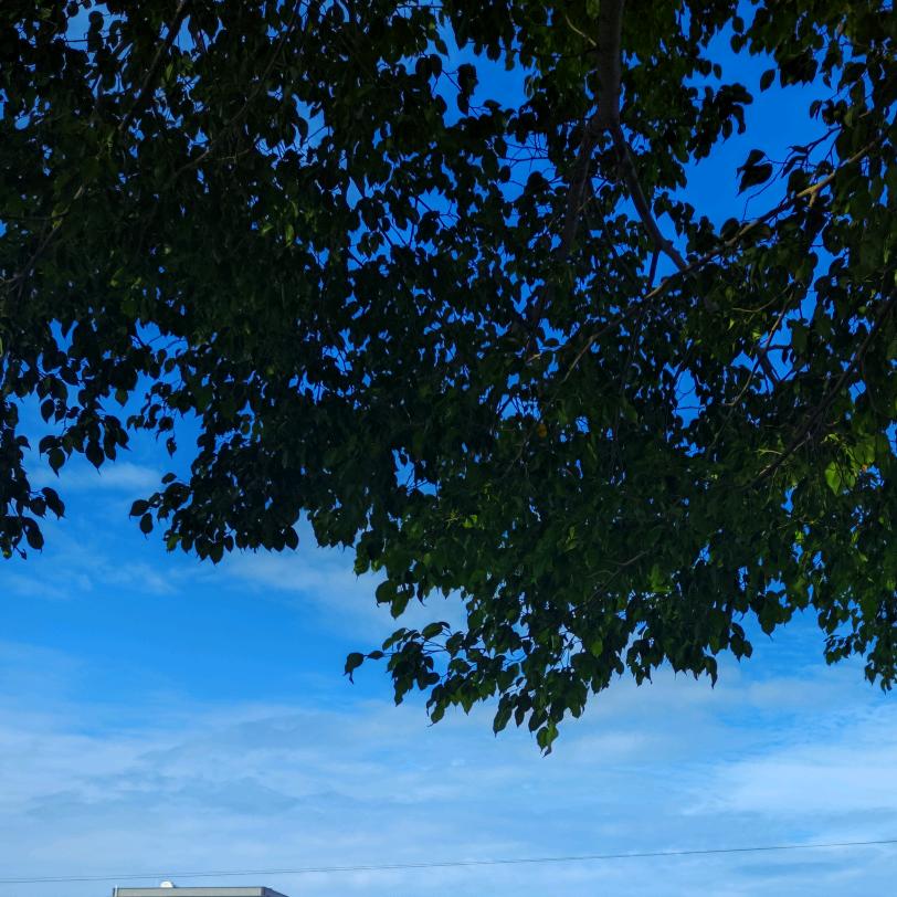 ༄྄ེིོུ 风ཉི࿔࿆࿐ོ