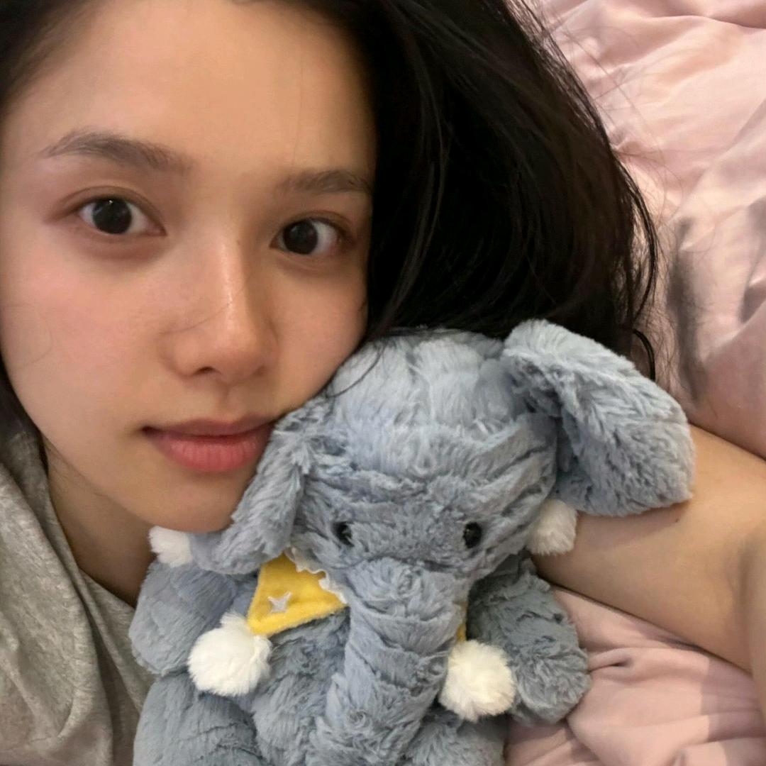 枳花明驿墙