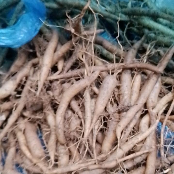 深山野蜂蜜，黄精，菜头肾，可以联系我