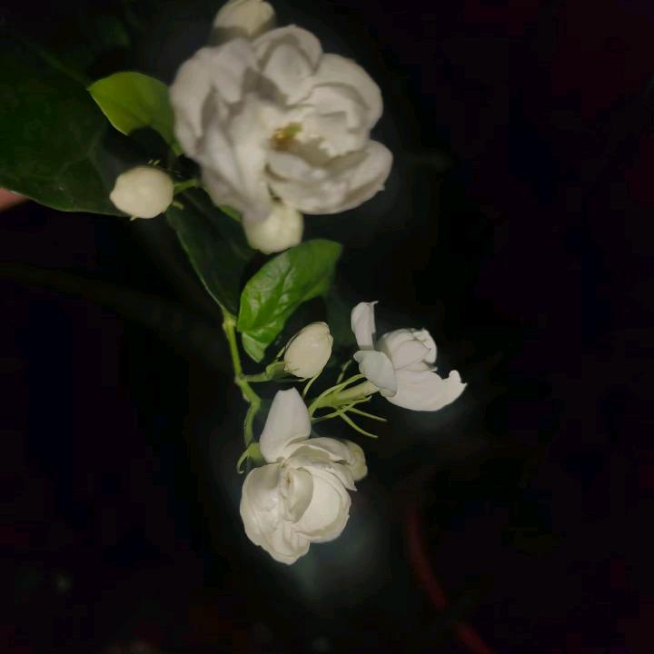 💕ꦿ҉好ᨶ႒ᩚ运ᥫᩣ໌້ᮨ加满