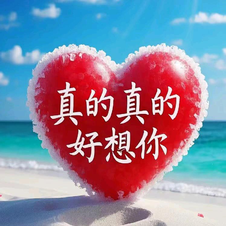 骑着蚂蚁闯世界