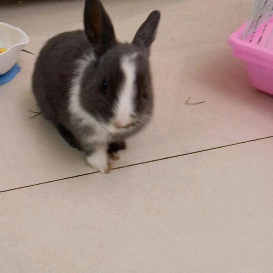 小波