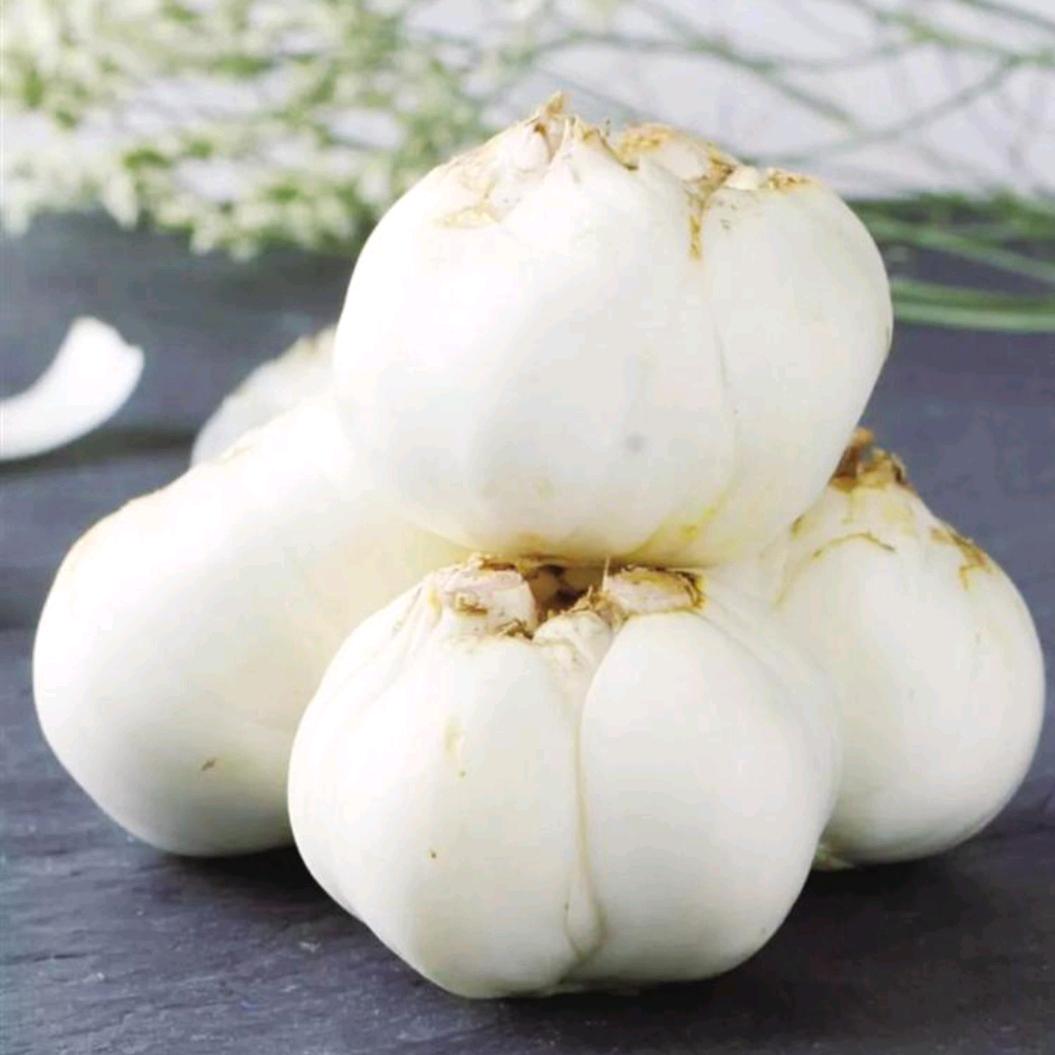 北山（早上6：50）