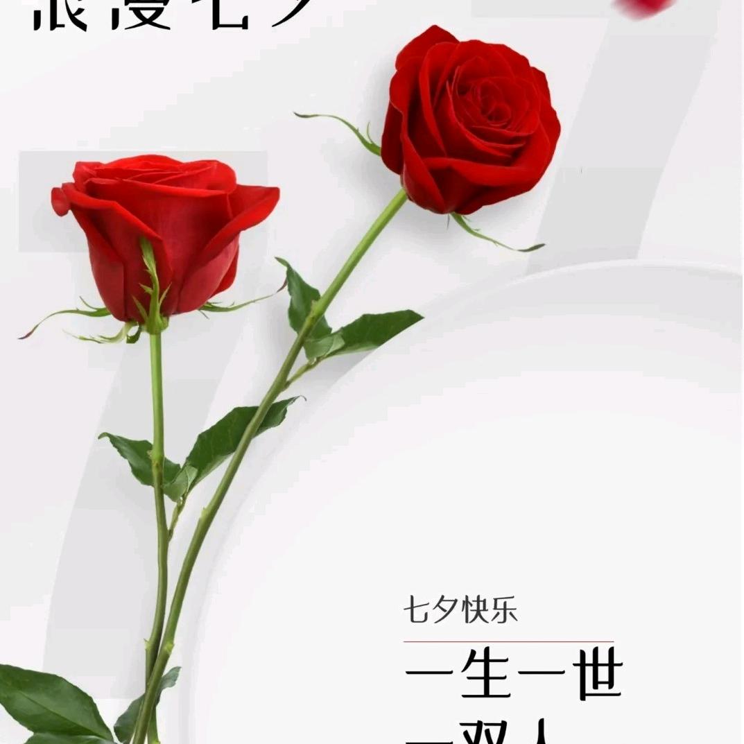 🌹向美好出发🌹
