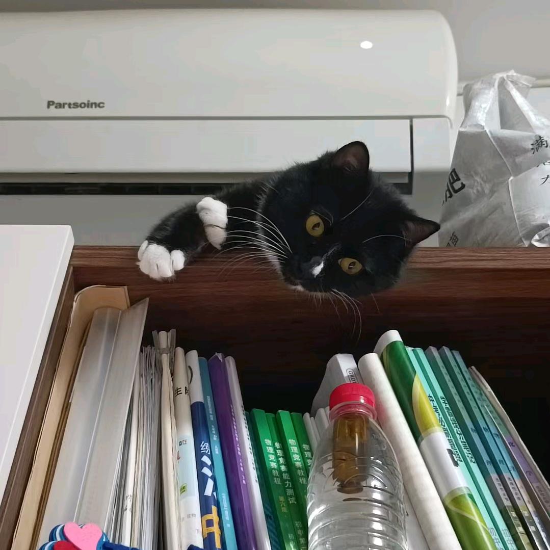 庚辰爱吃百香果