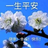 喜来登头像