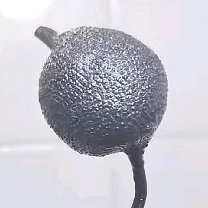 🈵艺金弹子坨坨茶品