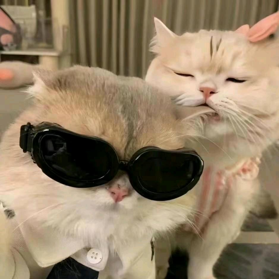 我的宝宝